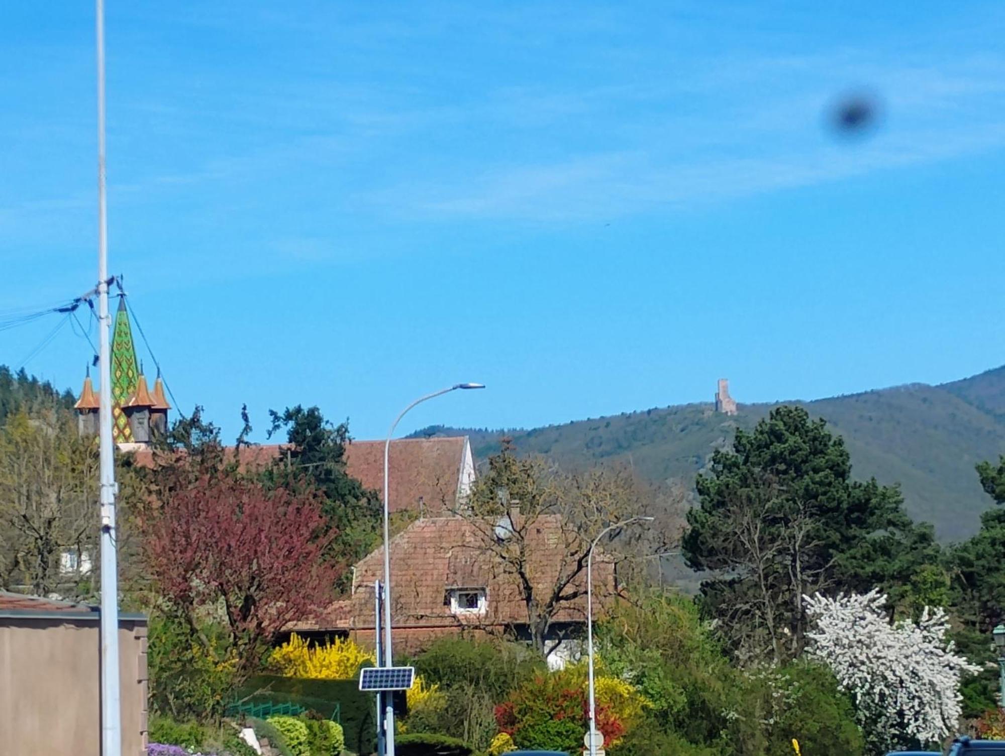 Gite Le Marronnier - Au Calme - Parking & Terrasse - Pres De Colmar Et Riquewihr - Route Des Vins Châtenois Exterior foto